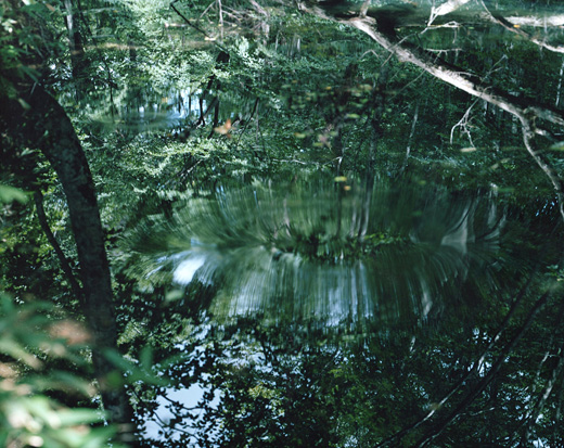 鈴木理策写真展 意識の流れ［展覧会について］｜東京オペラシティ