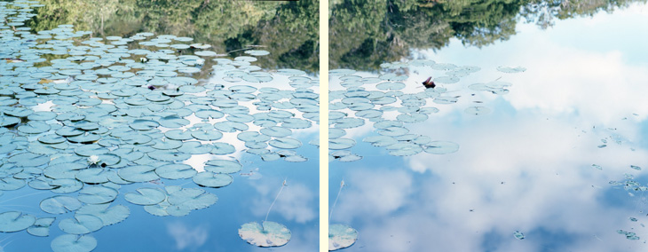 鈴木理策写真展 意識の流れ［イントロダクション］｜東京オペラシティ