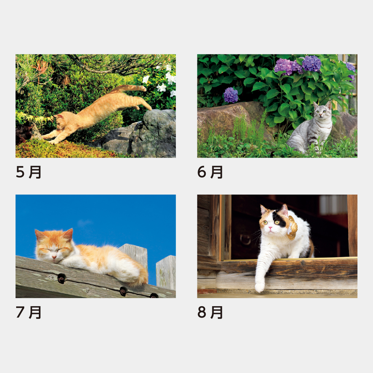 SB-170 猫さんぽ2026年版の名入れカレンダーを格安で販売 - 名入れ