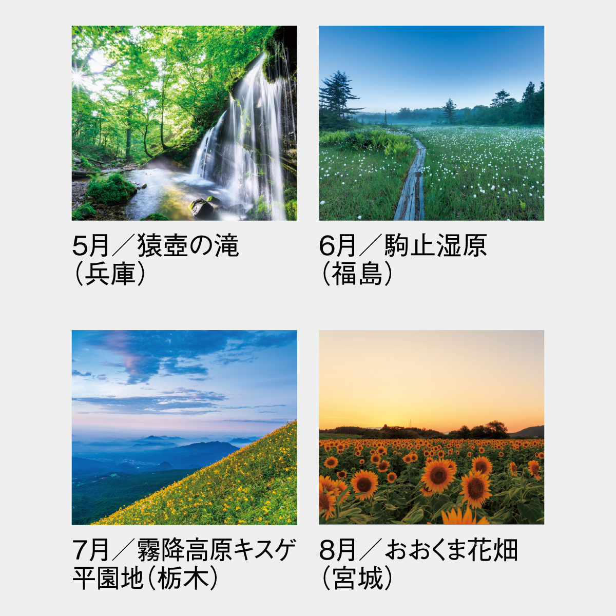 SG-456 四季十二彩2026年版の名入れカレンダーを格安で販売 - 名入れ