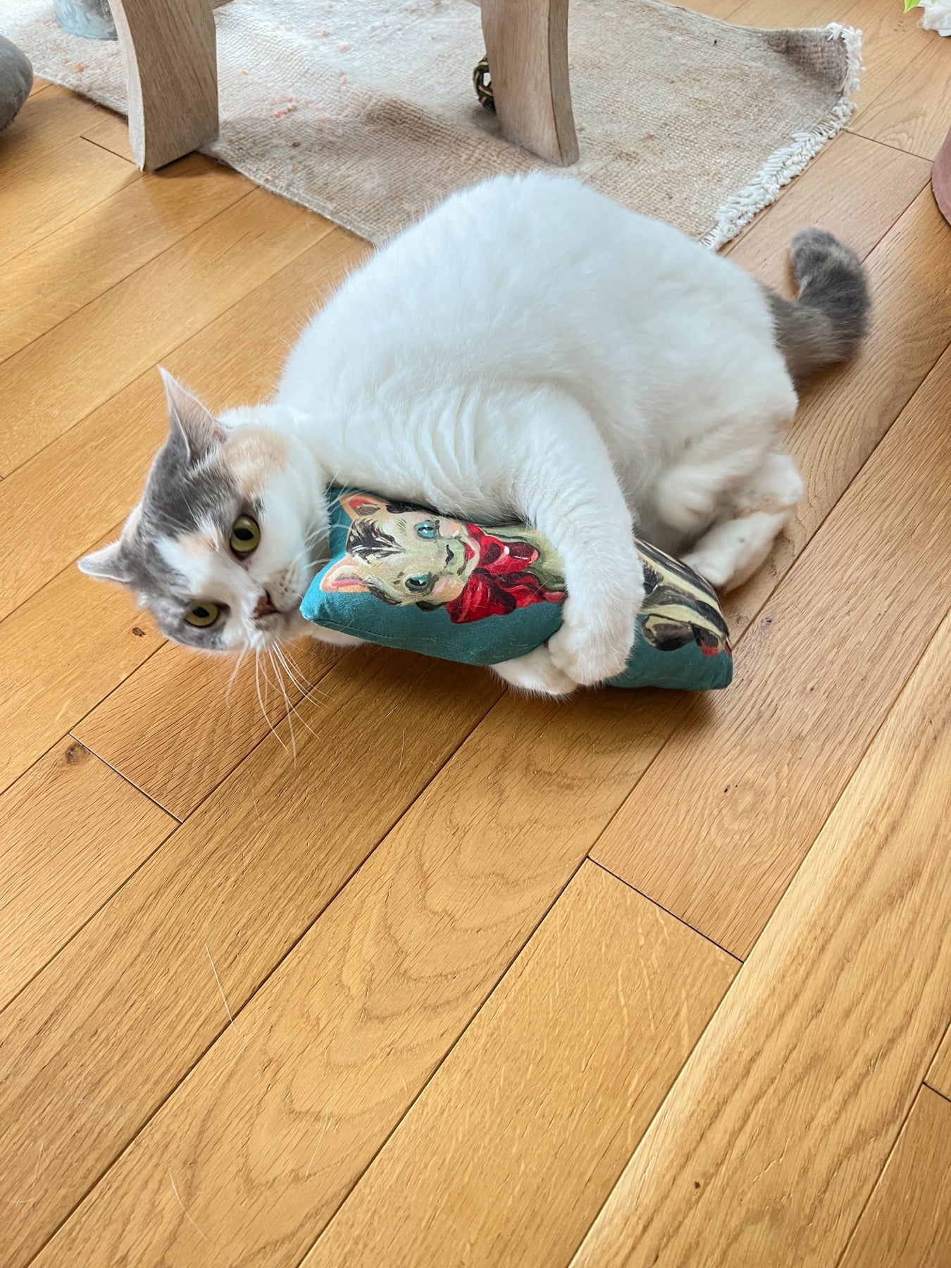 Nathalie Lete × Orneko ケリケリクッション｜オルネコ（おもちゃ