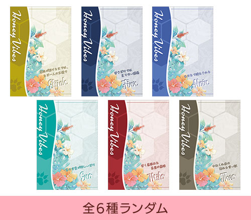 マツリカの炯 秋風マルシェセット 秋風マルシェ2025