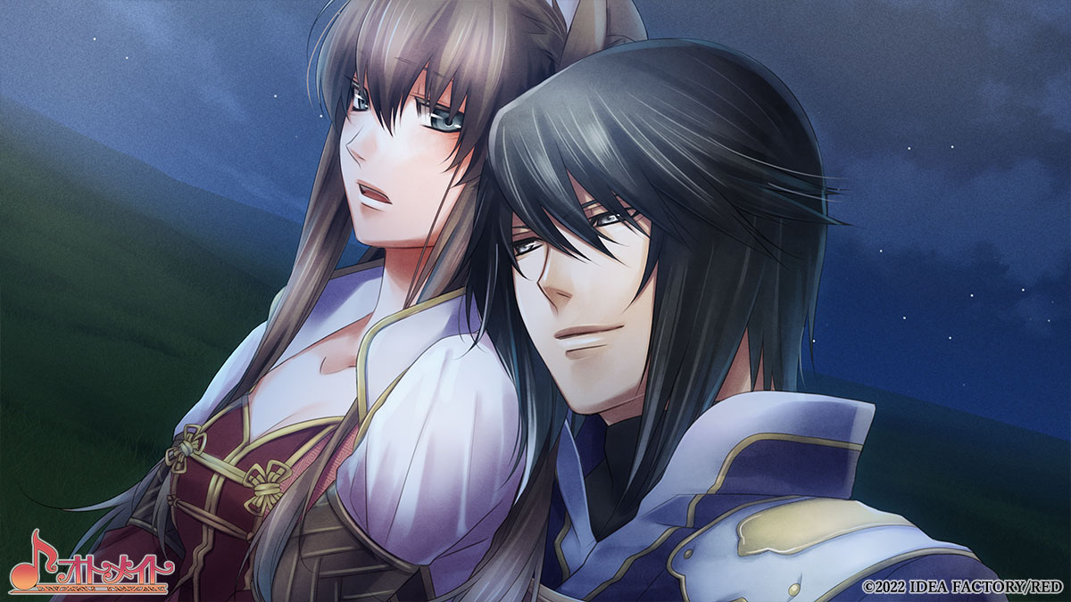 十三支演義 偃月三国伝1・2 for Nintendo Switch』