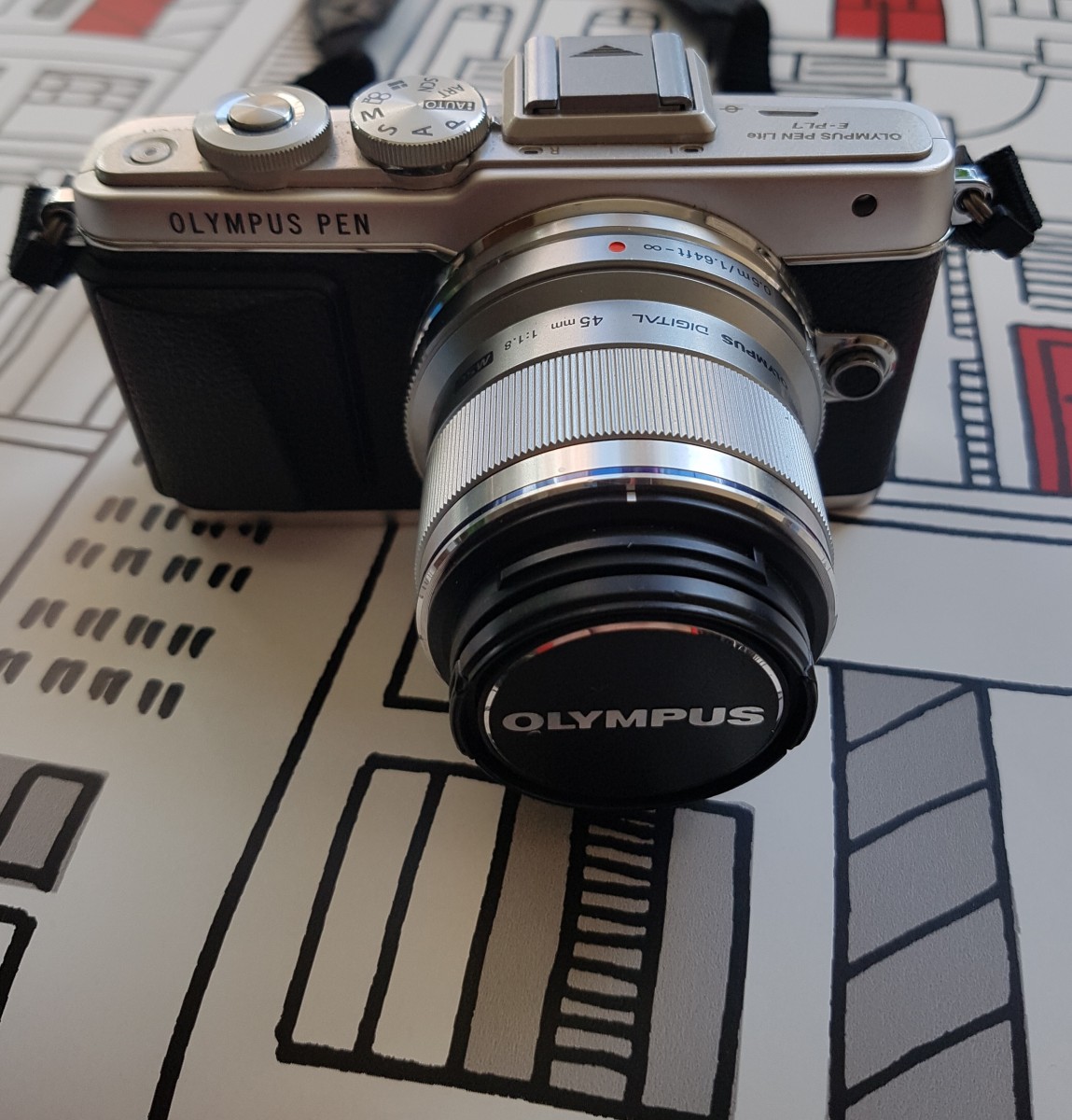 Olympus Pen E-PL7 45mm lens - Loved by Elena