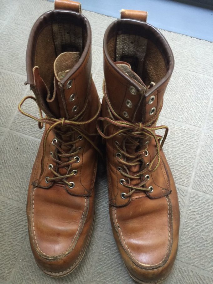 1970年代 アイリッシュセッター 877 | ロングホーンインポート