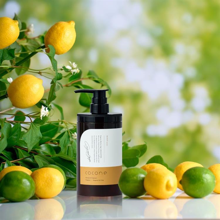 クレイクリームシャンプー モイスト: コスメ＆ビューティー | ロフト