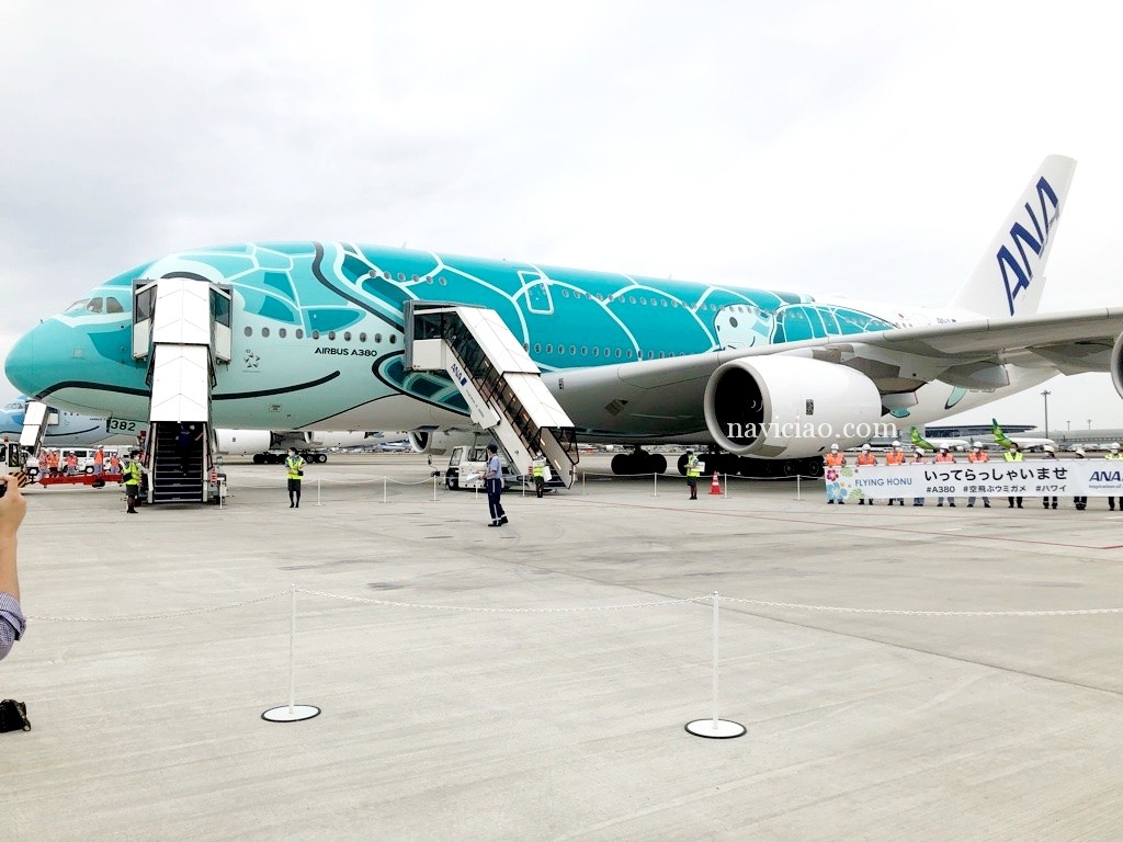 第2回「ANAフライングホヌのチャーターフライトレポ」カイくんの離陸