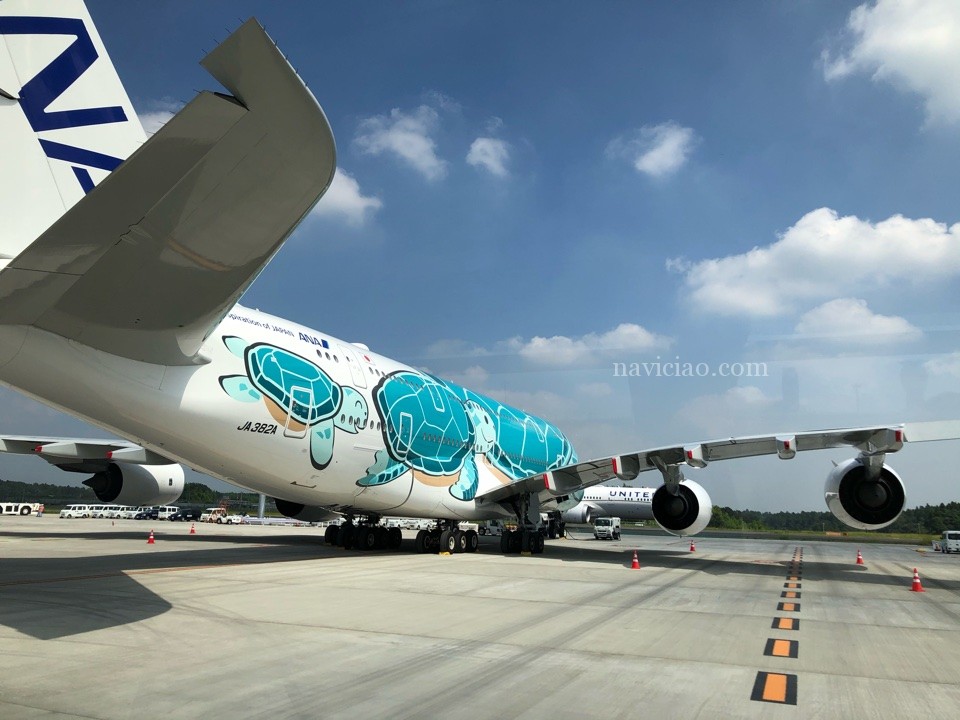 第2回「ANAフライングホヌのチャーターフライトレポ」カイくんの離陸