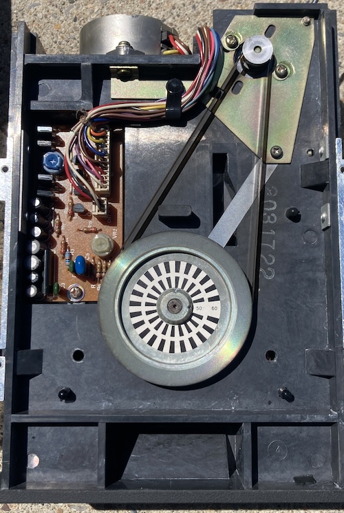 The Origin of the Species | Leaded Solder