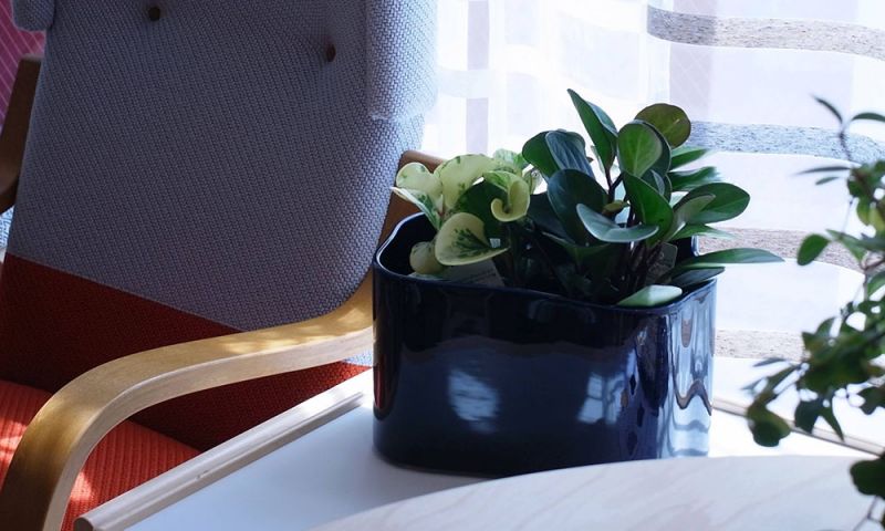 リーヒティエ プラントポットS / TypeB - ブルー - 植木鉢・プランター