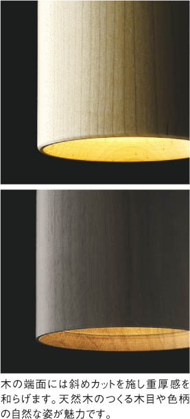 Koizumi コイズミ照明 ペンダント AP40510L | 商品紹介 | 照明器具の