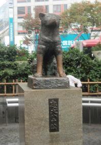 ハチ公前で待ち合わせる一冊 | 渋谷区立図書館