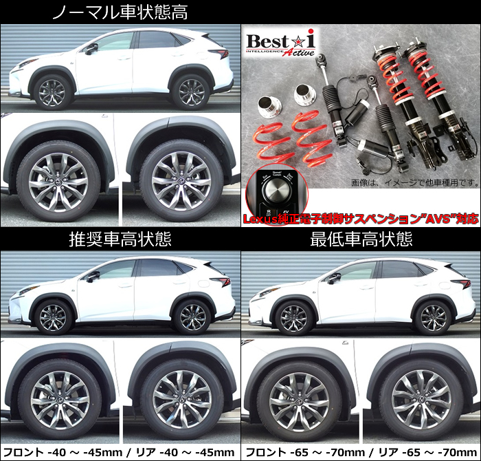 レクサスNX300h/300/200t専用 車高調キット(RS-R Best-i Active)の