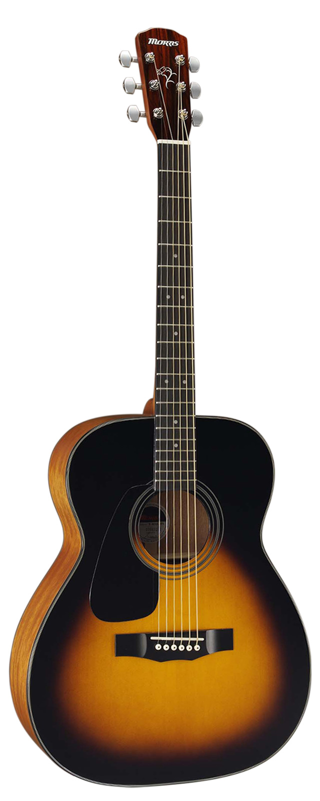 F-01 II LH | 生産完了品 | MORRIS GUITARS モーリスギター
