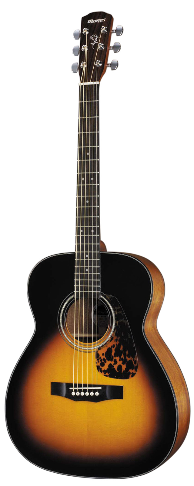 F-12 II | 生産完了品 | MORRIS GUITARS モーリスギター