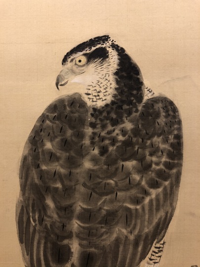 狩野伊川院栄信 鷹図｜古美術・掛け軸の販売・買取・鑑定-松本松栄堂