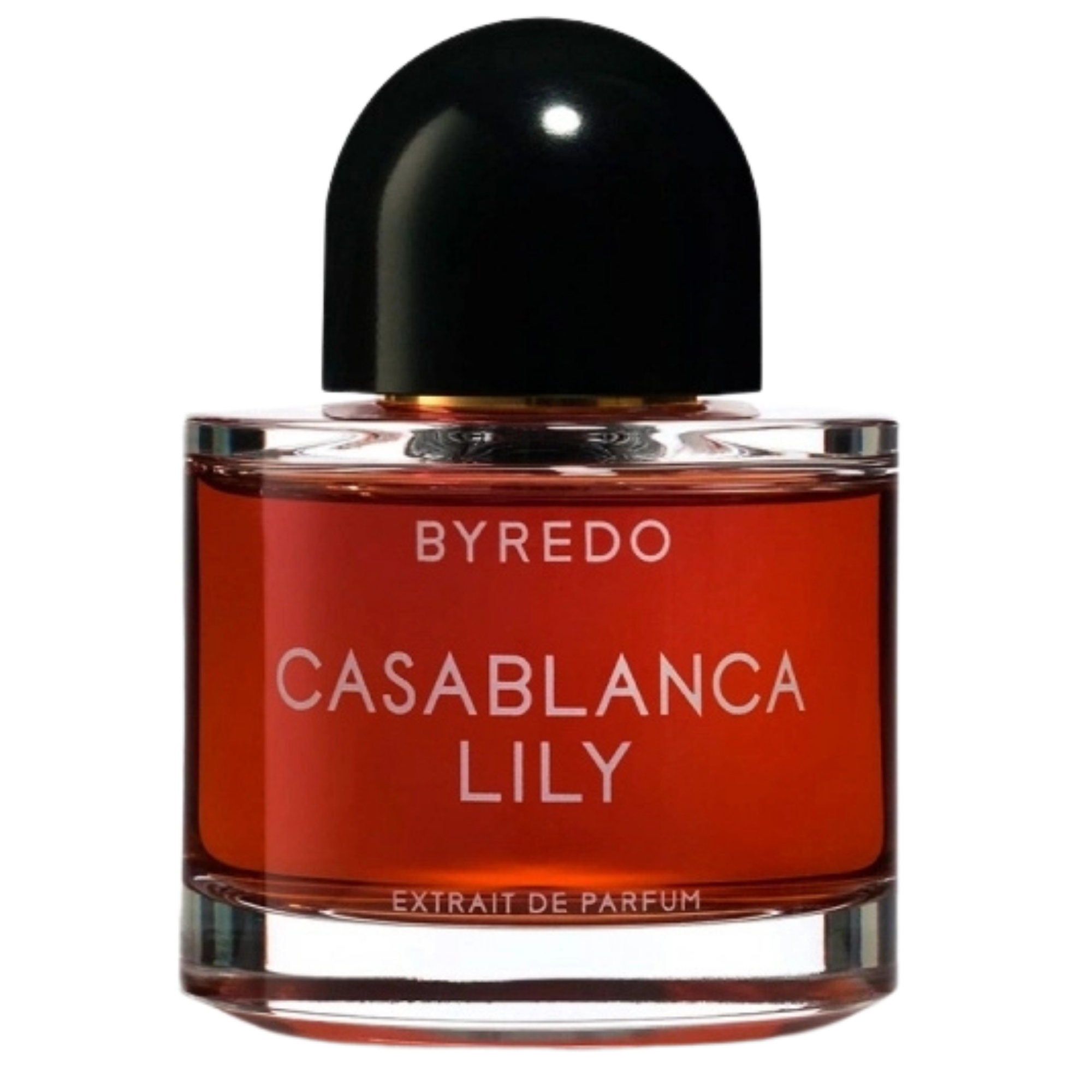 Journey to the Heart of Casablanca-Byredo Casablanca Lily