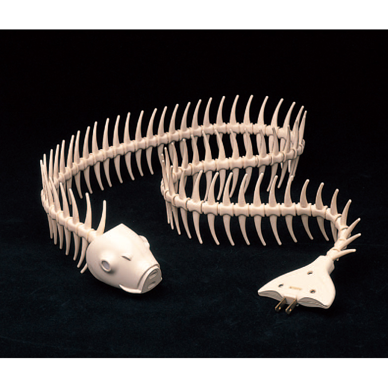 魚コード / Na-Cord - 明和電機 - Maywa Denki明和電機 – Maywa Denki