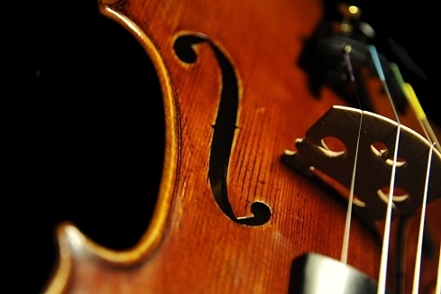 初心者 バイオリン サントヴェルデ | バイオリン専門店