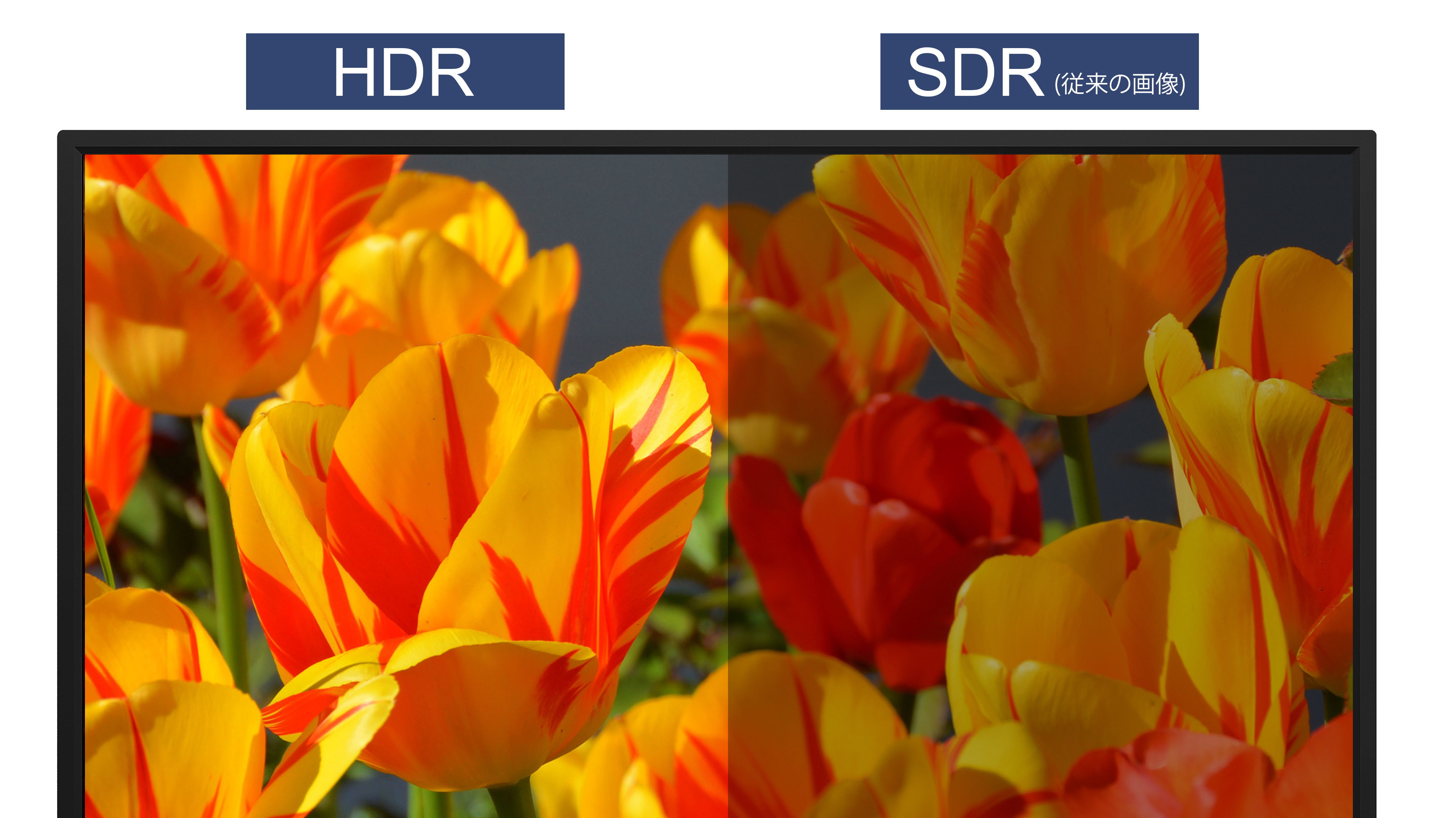 IRIE 4Kモニター 32インチ | FFF-LD32P5