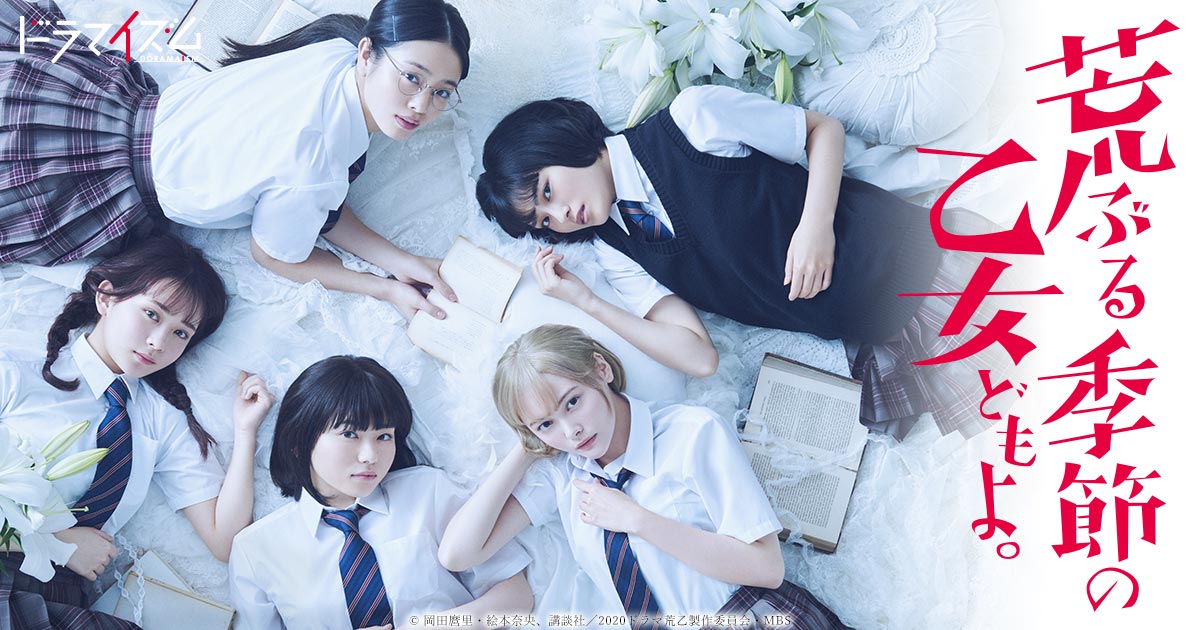 荒ぶる季節の乙女どもよ。 | ドラマイズム | MBS 毎日放送
