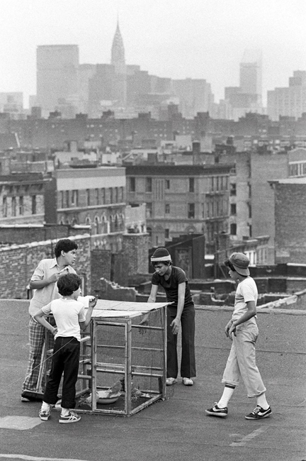 City Play: Martha Cooper's New York