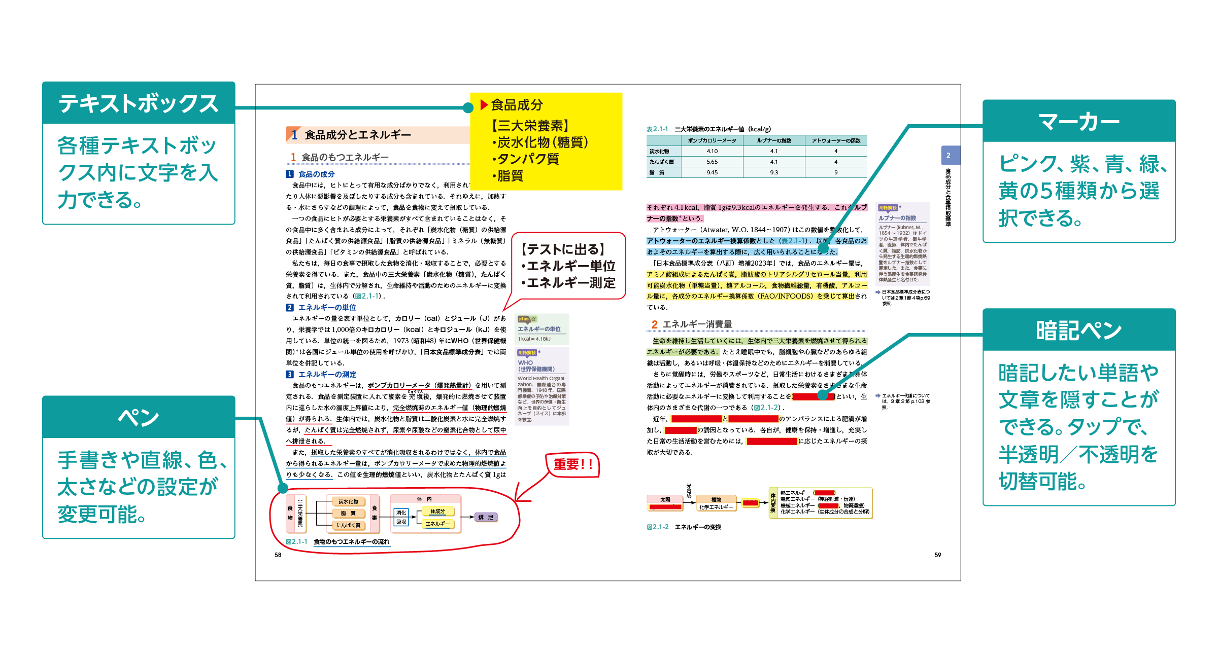 デジタル看護教科書『ナーシング・グラフィカ電子版』