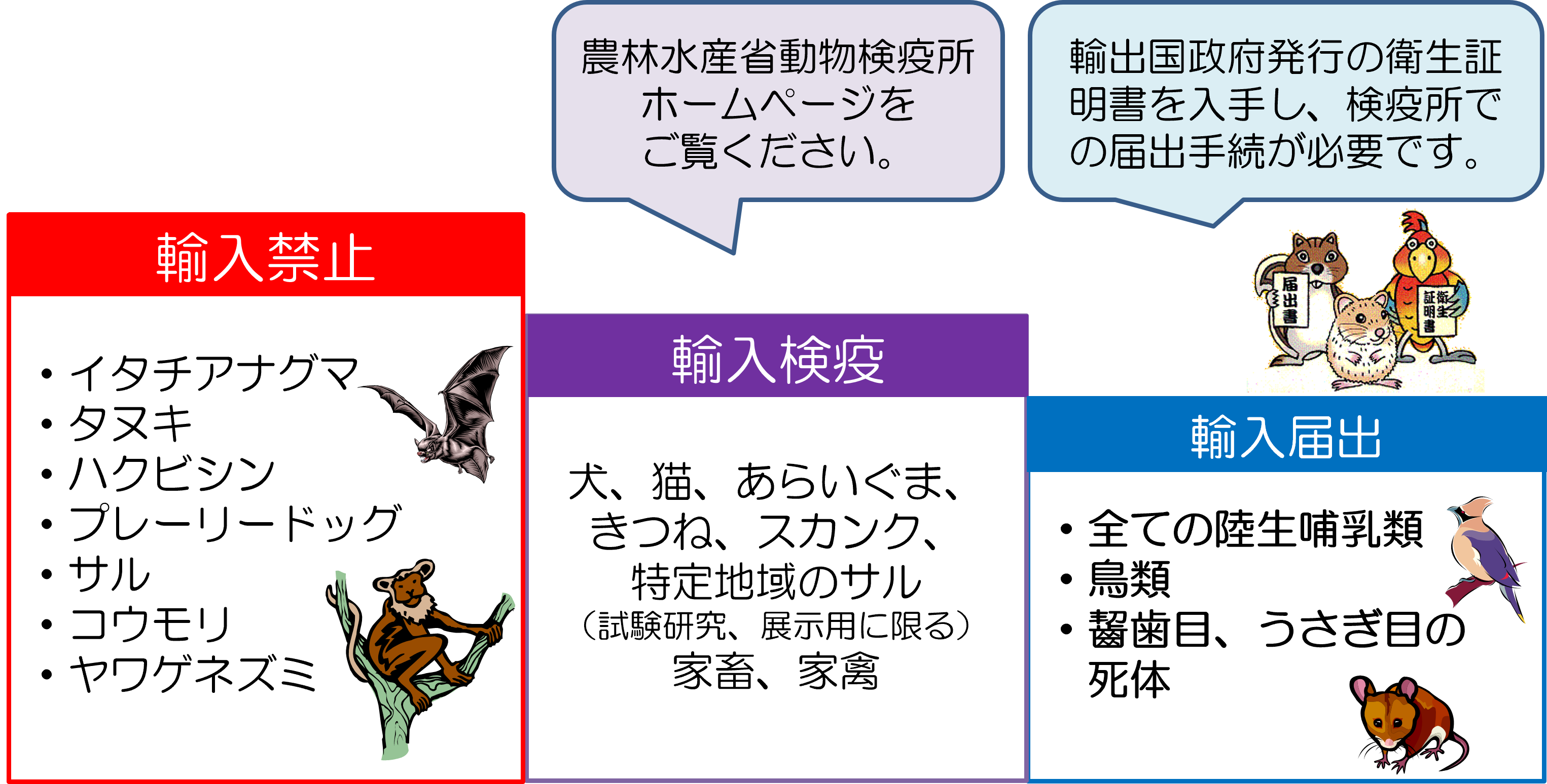 動物由来感染症 ｜厚生労働省