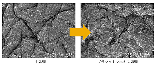 みやび屋 | マジョール アミノマスク(10枚)