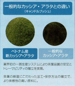 みやび株式会社 |MAJOR アップルコロンティープレミアム100[マジョール