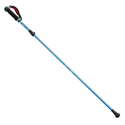 ウォーキング用ポール｜健康／エクササイズ｜ライフスタイル｜ミズノ