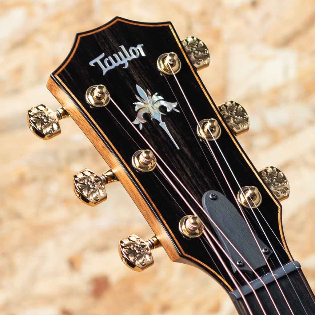 50th Anniversary 924ce-K LTD CIRCA 74 Amp Set: アコースティック