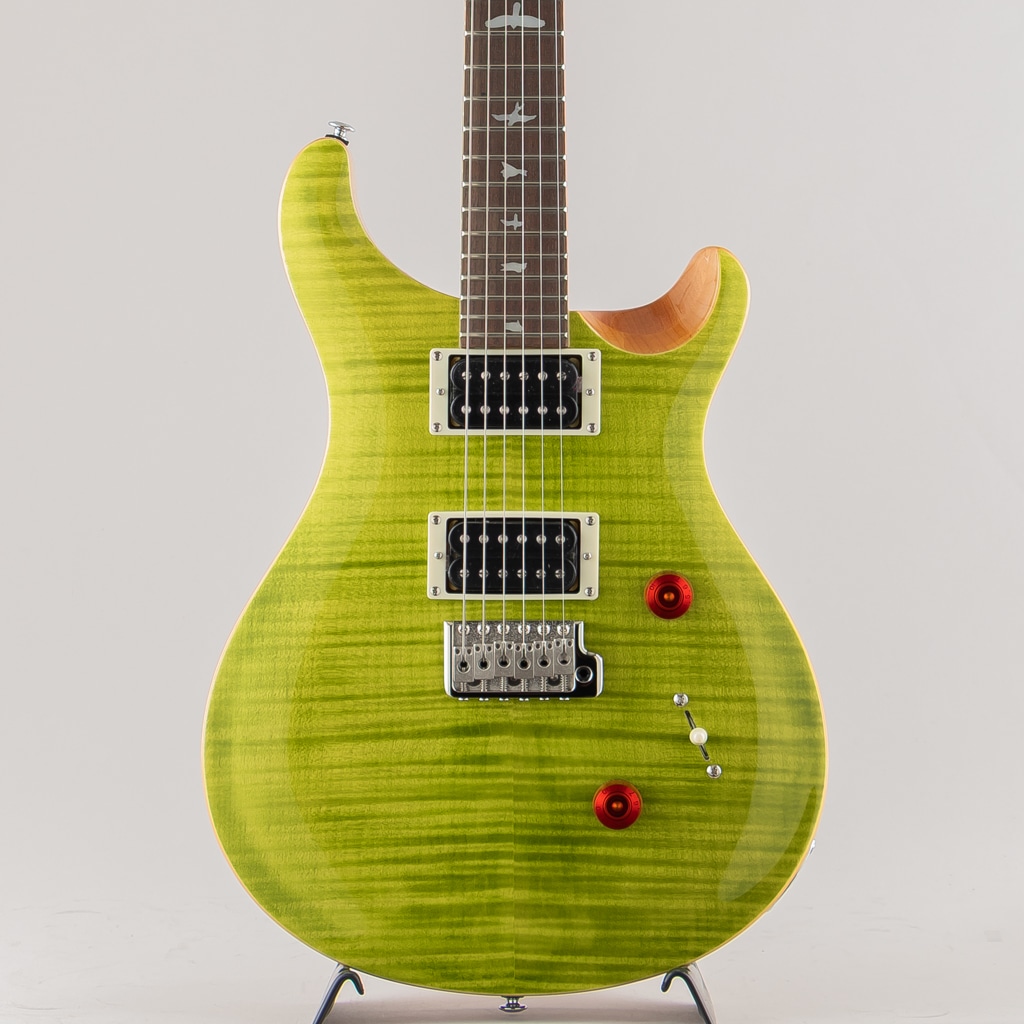SE Custom 24 / Eriza Verde 【2024】(アメリカ村店 Eriza Verde