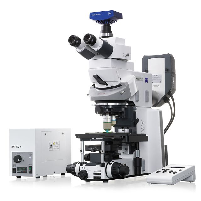 Carl Zeiss Microscopy, LLC - Upright microscopes - Axio Examiner