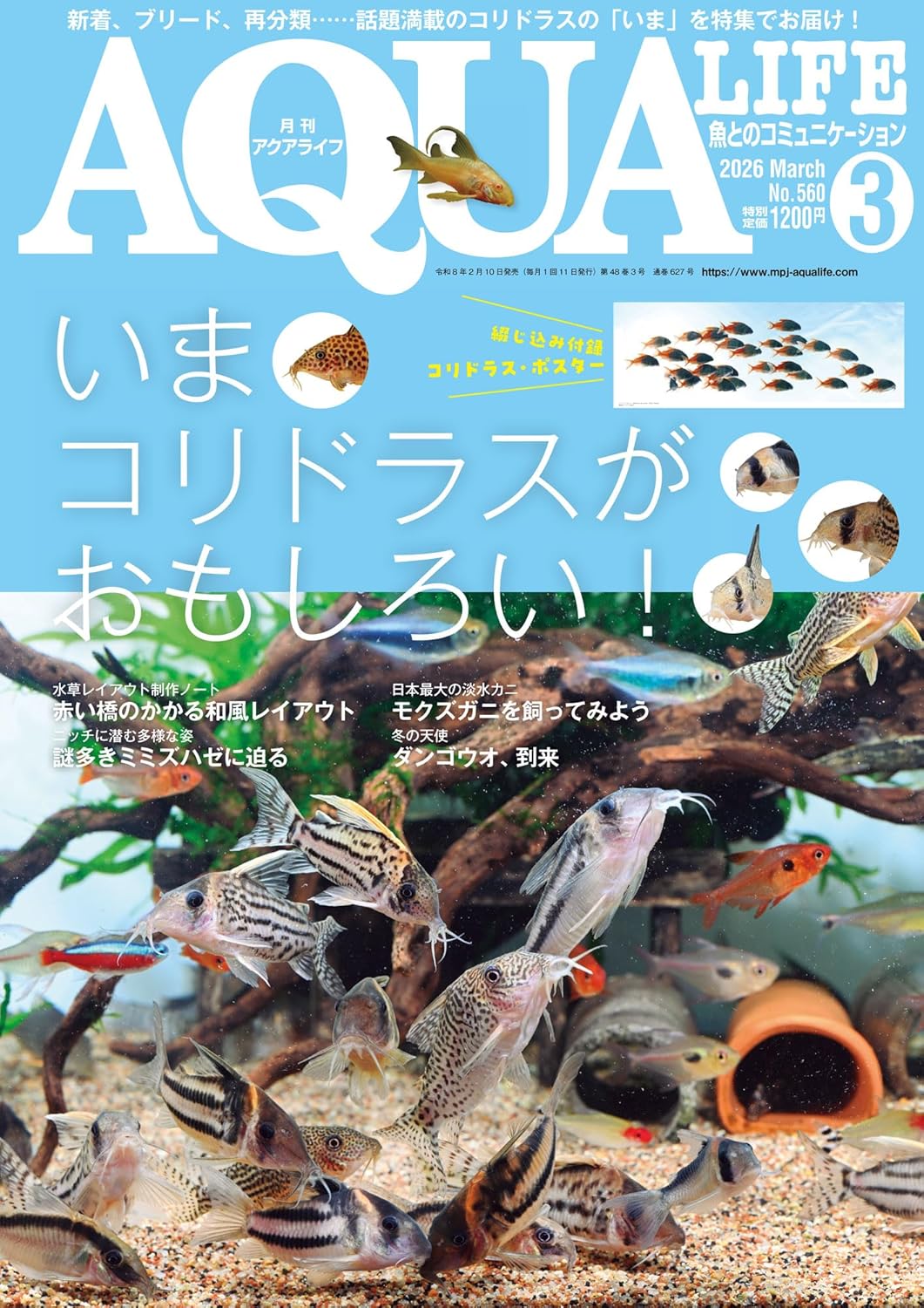 アクアライフ」の記事一覧 ｜ エムピージェー