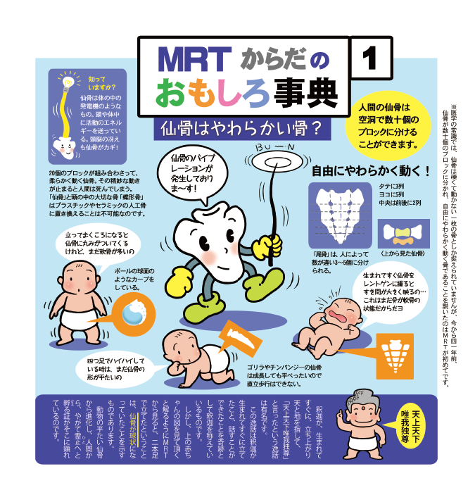 仙骨とは？|【仙骨無痛療法】のパイオニア|仙骨専門治療院MRT