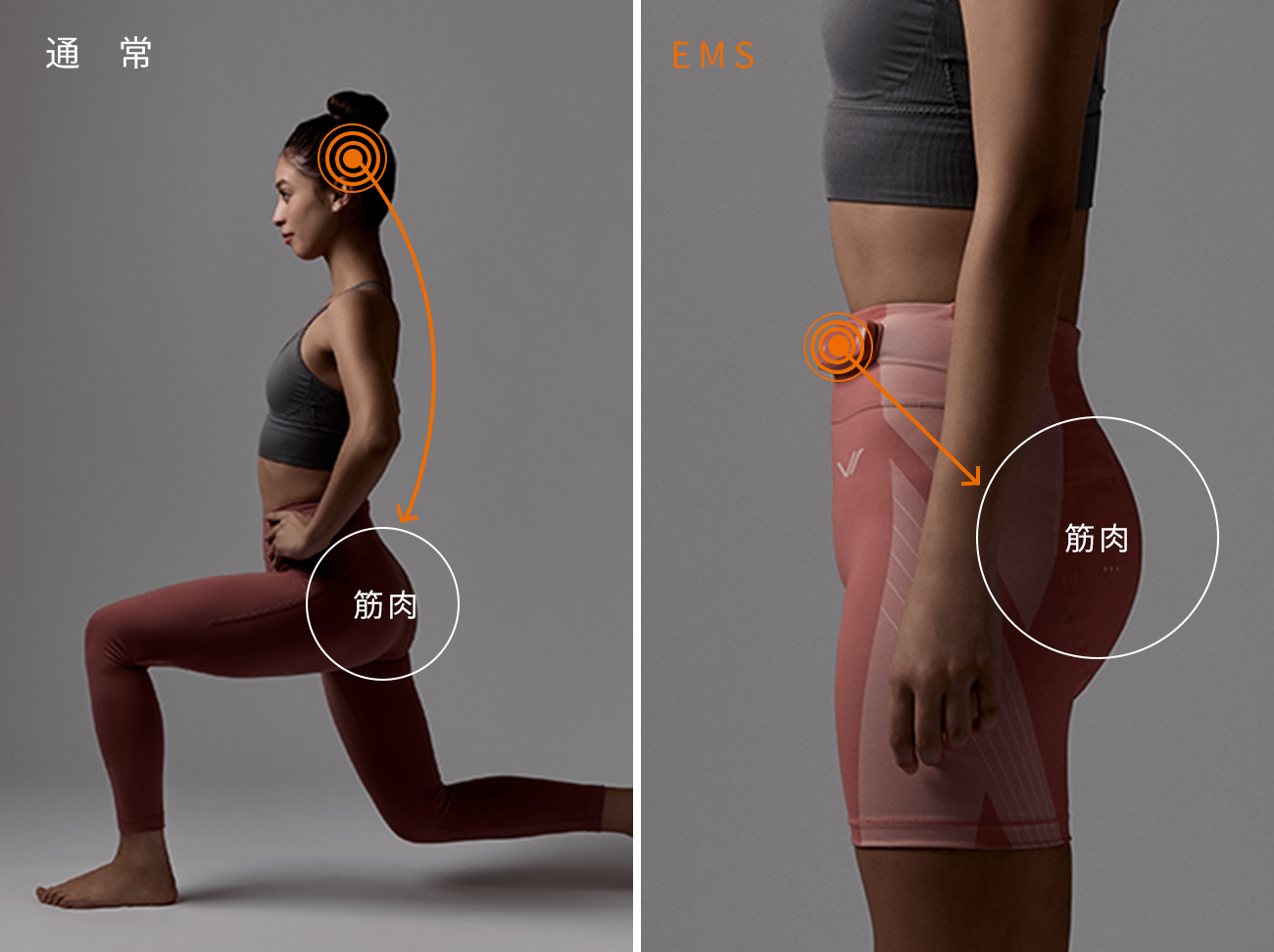 シックスパッド ヒップフィット(Hip Fit) わたしはヒップを、はいて