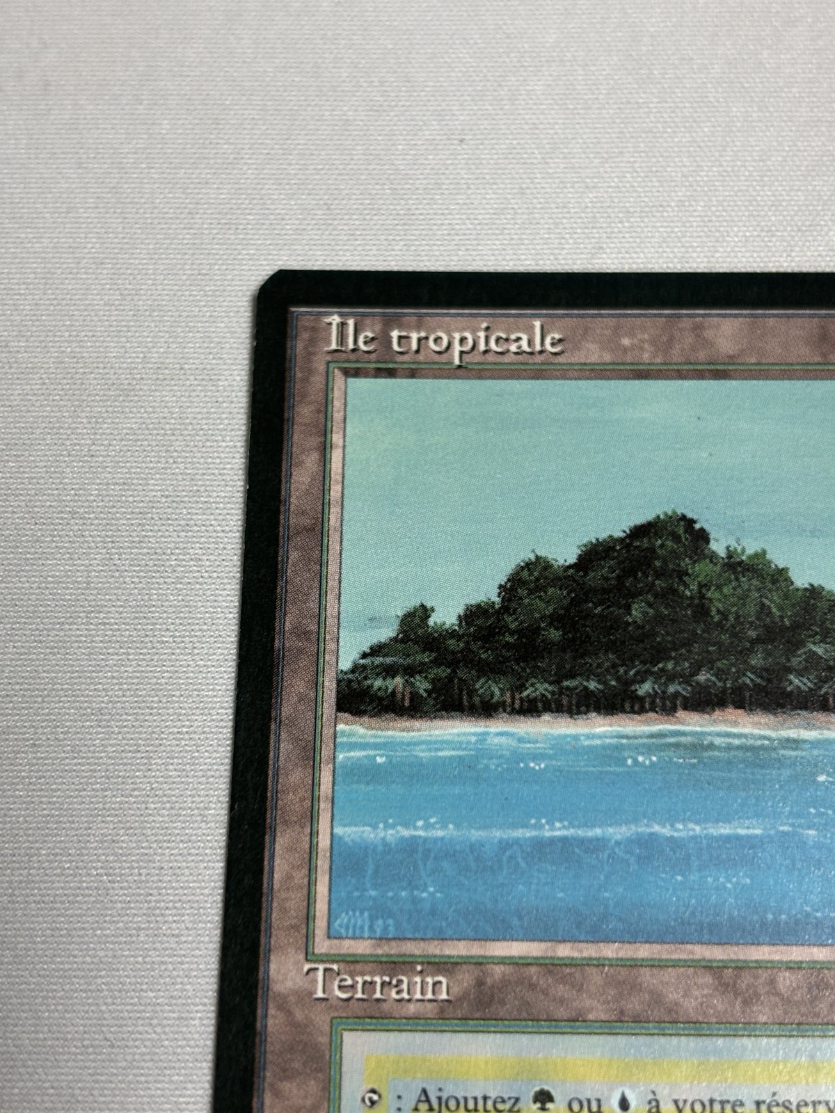 FBB Scrubland フランス語 Scrubland スクラブランド ドイツ語 mtg