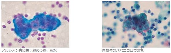 臨床検査用染色液・試薬及び顕微鏡用グラス、替刃等に貢献する武藤化学