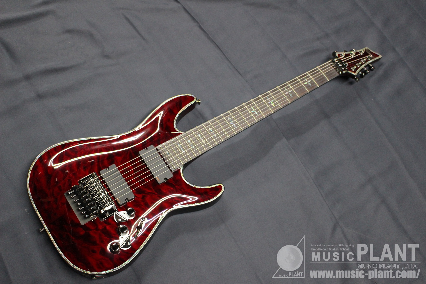 SCHECTER HELLRAISERシリーズ 7弦エレキギターHELLRAISER FR Black