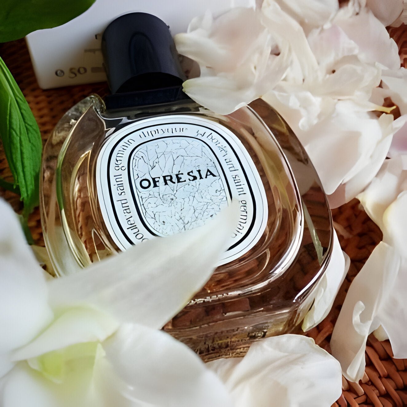 Shop Diptyque Ofresia EDT in Qatar