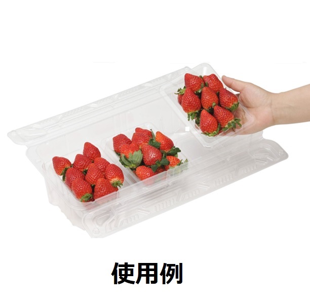 イチゴパック STR-R3個セットパック 20枚(CP007636): 包装・販促資材