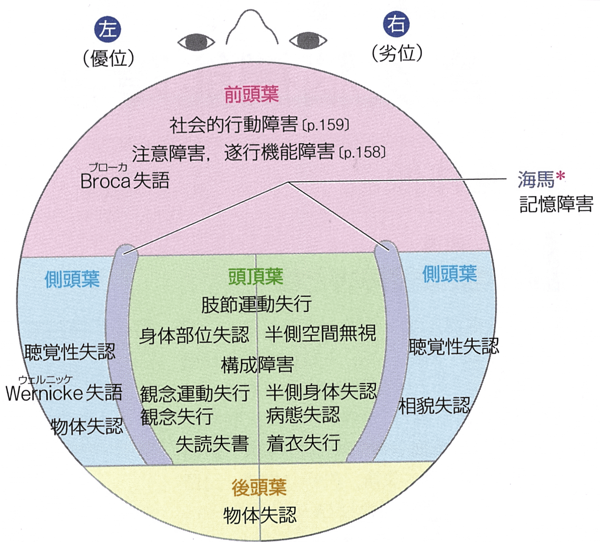 高次脳機能障害の症状を分かりやすく解説｜＜公式＞脳梗塞リハビリBOT静岡