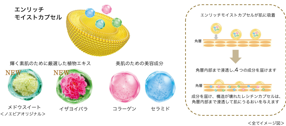 美容液のようなうるおいと心地よさで透明感のある素肌へ導くノエビア最