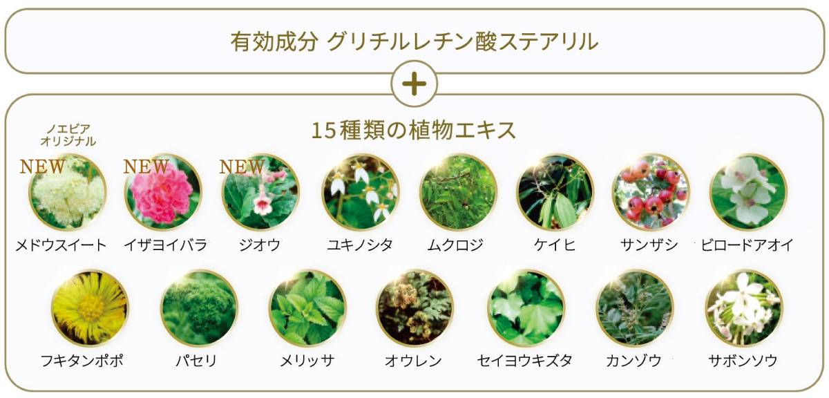 美容液のようなうるおいと心地よさで透明感のある素肌へ導くノエビア最