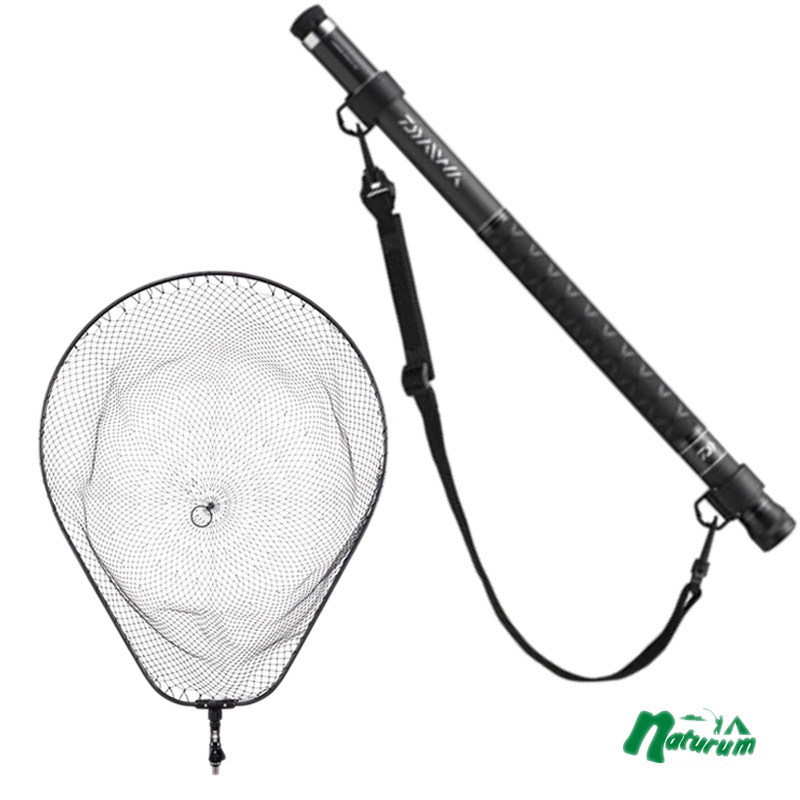 860_1_800.jpg?20240816093842