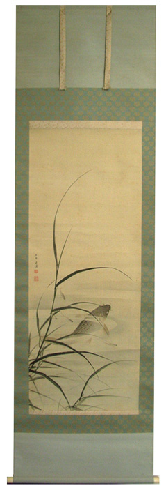 望月玉渓 若芦游鯉図/掛け軸 絵画の買取.販売.表装/長良川画廊
