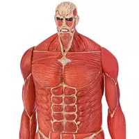 買取】進撃の巨人 超大型巨人 ムキムキソフビフィギュア フィギュア