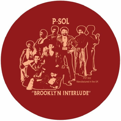P Sol - Brooklyn Interlude | NEWTONE RECORDS