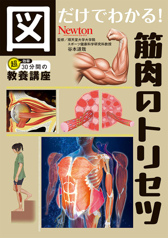 図だけでわかる！ 筋肉のトリセツ | ニュートンプレス